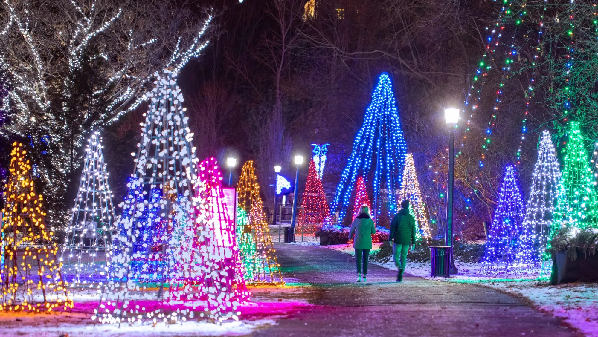 겨울 빛 축제 (Winter Festival of Lights)